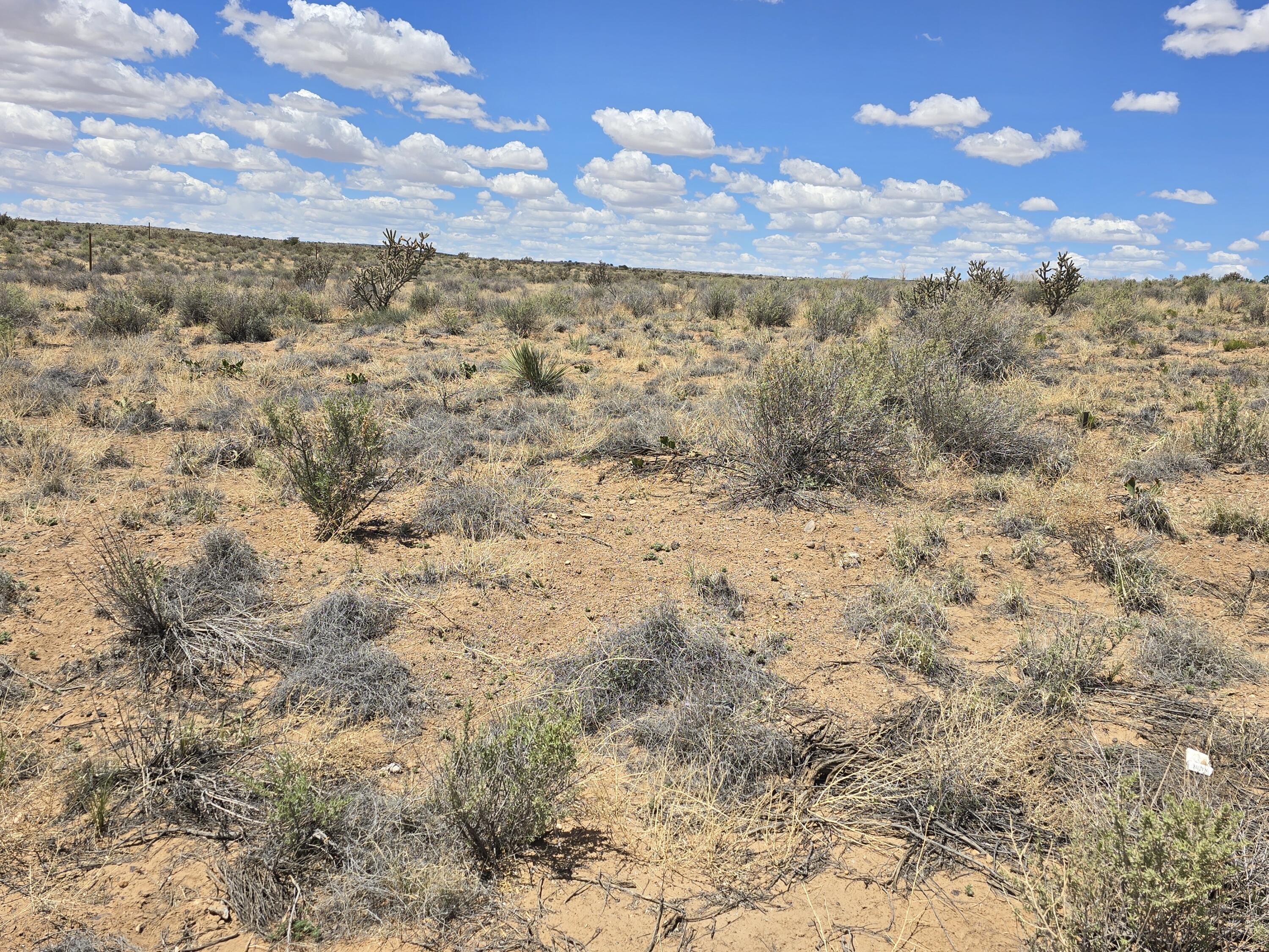Lot 57 Block 8 Unit 4, Rio Rancho, New Mexico image 1