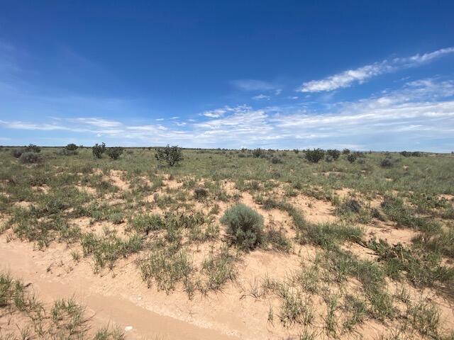 3923 Ibadan Road, Rio Rancho, New Mexico image 4