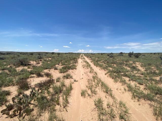 3923 Ibadan Road, Rio Rancho, New Mexico image 5