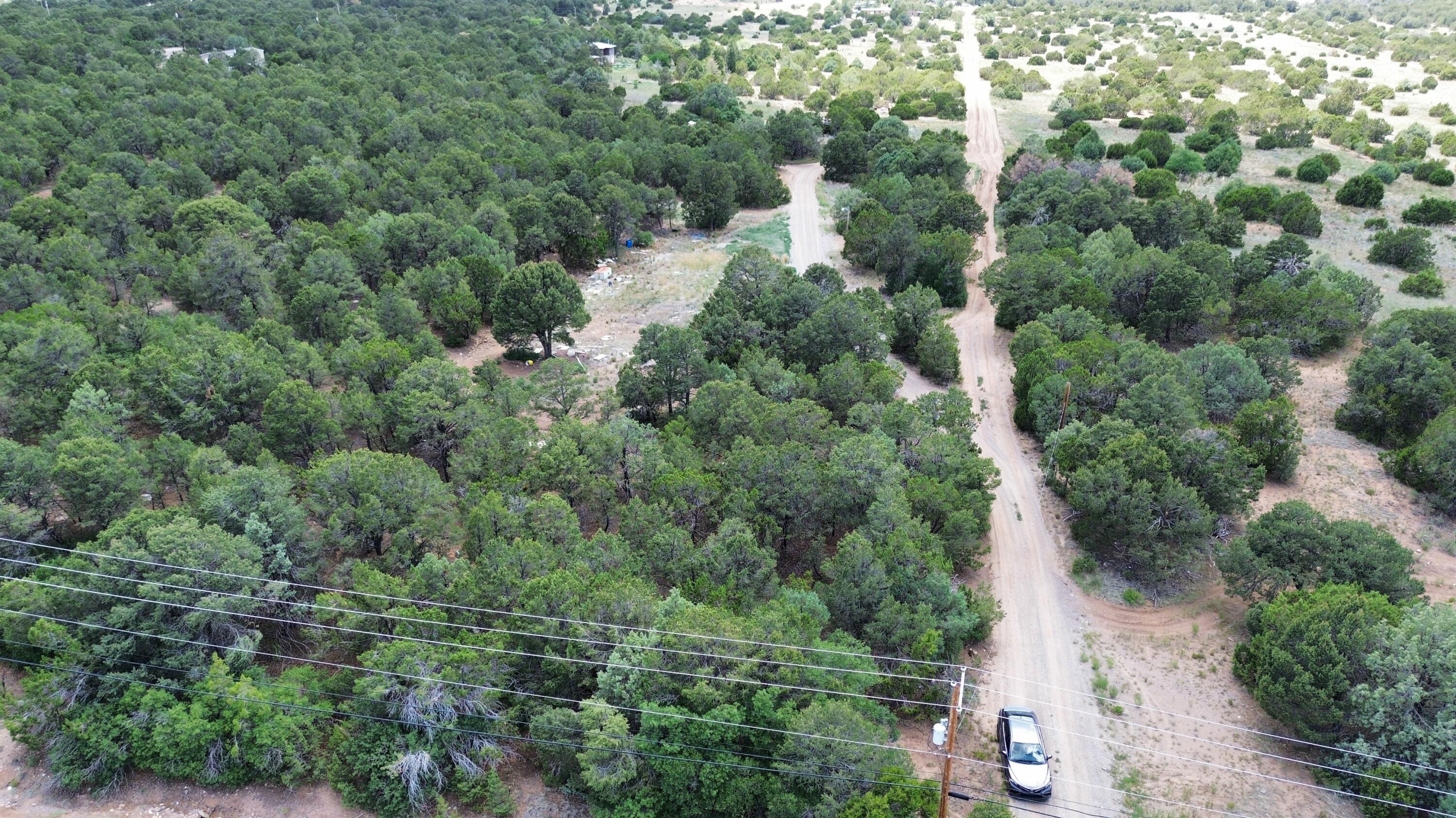 413 Nm-217, Tijeras, New Mexico image 3