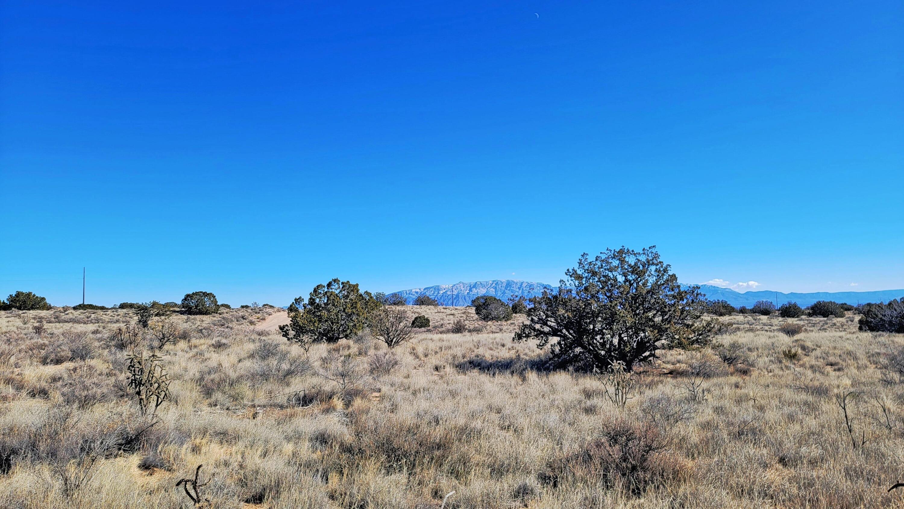 View Rio Rancho, NM 87124 property