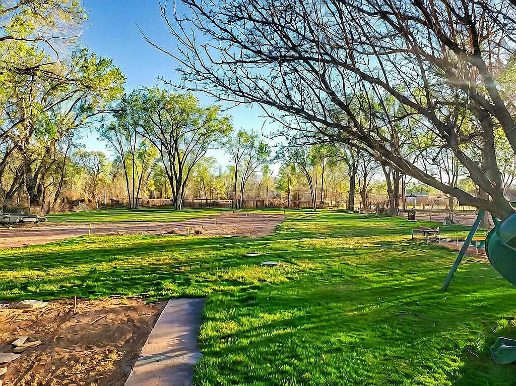 491 W Meadowlark Lane, Corrales, New Mexico image 8