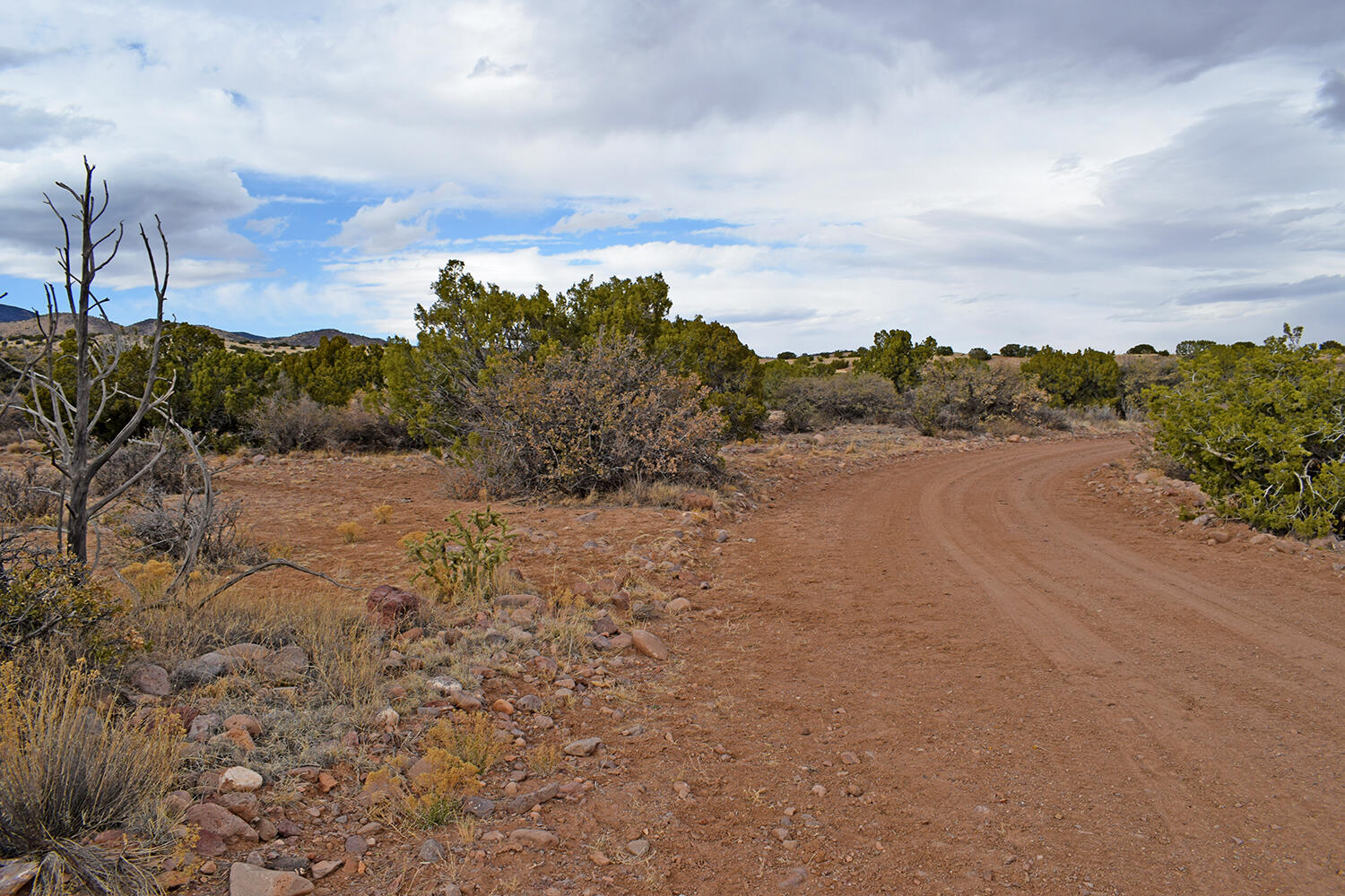 Lot 1A Willow Springs Ranch, San Antonio, New Mexico image 5