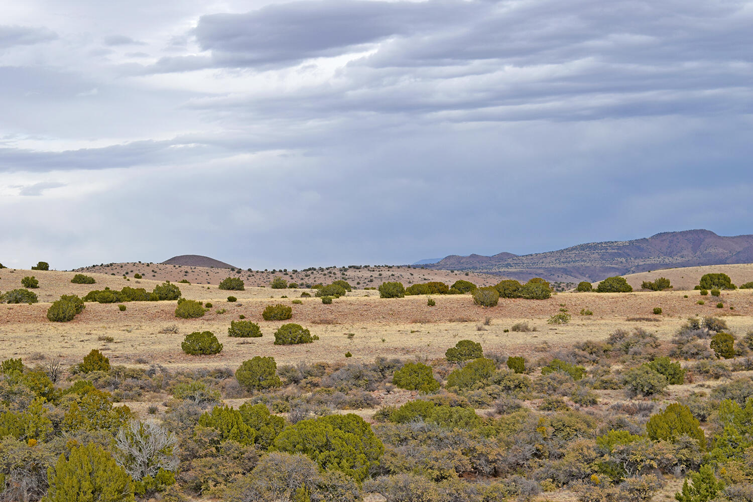 Lot 1A Willow Springs Ranch, San Antonio, New Mexico image 13