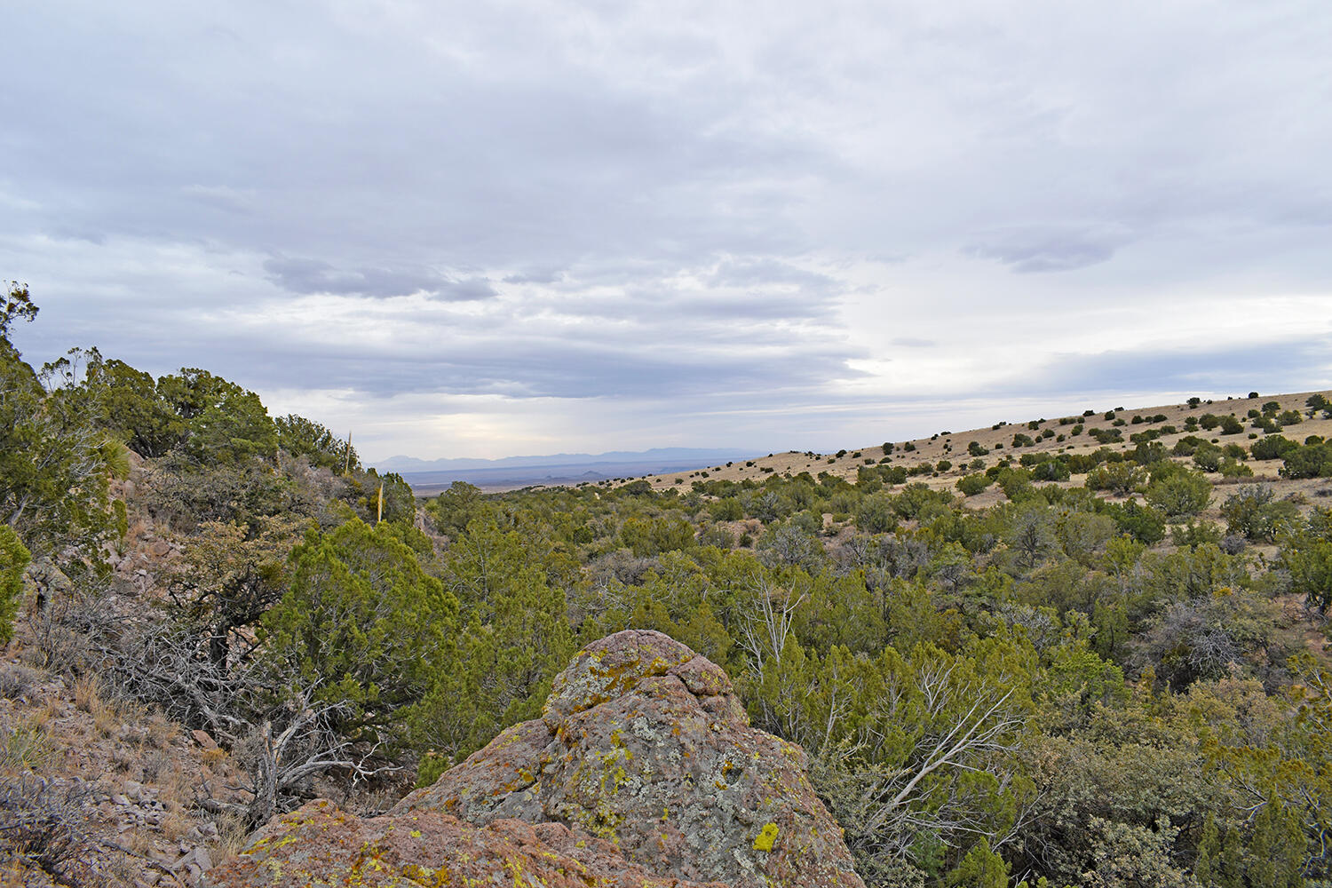 Lot 1A Willow Springs Ranch, San Antonio, New Mexico image 42