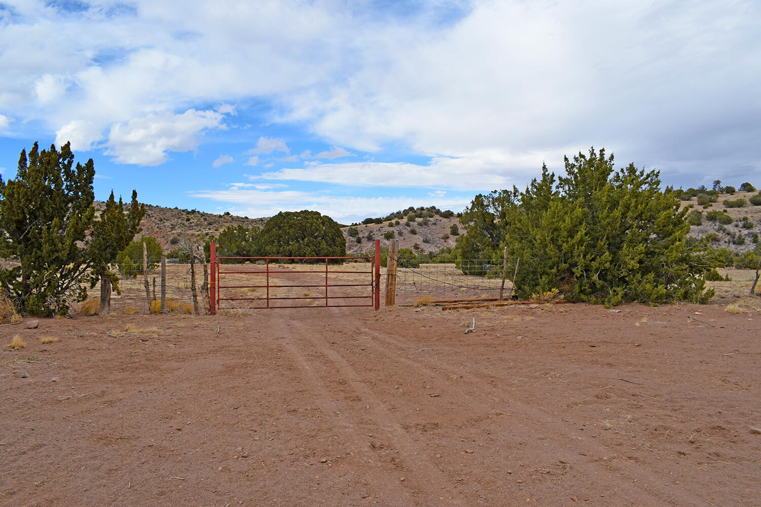 Lot 1A Willow Springs Ranch, San Antonio, New Mexico image 23
