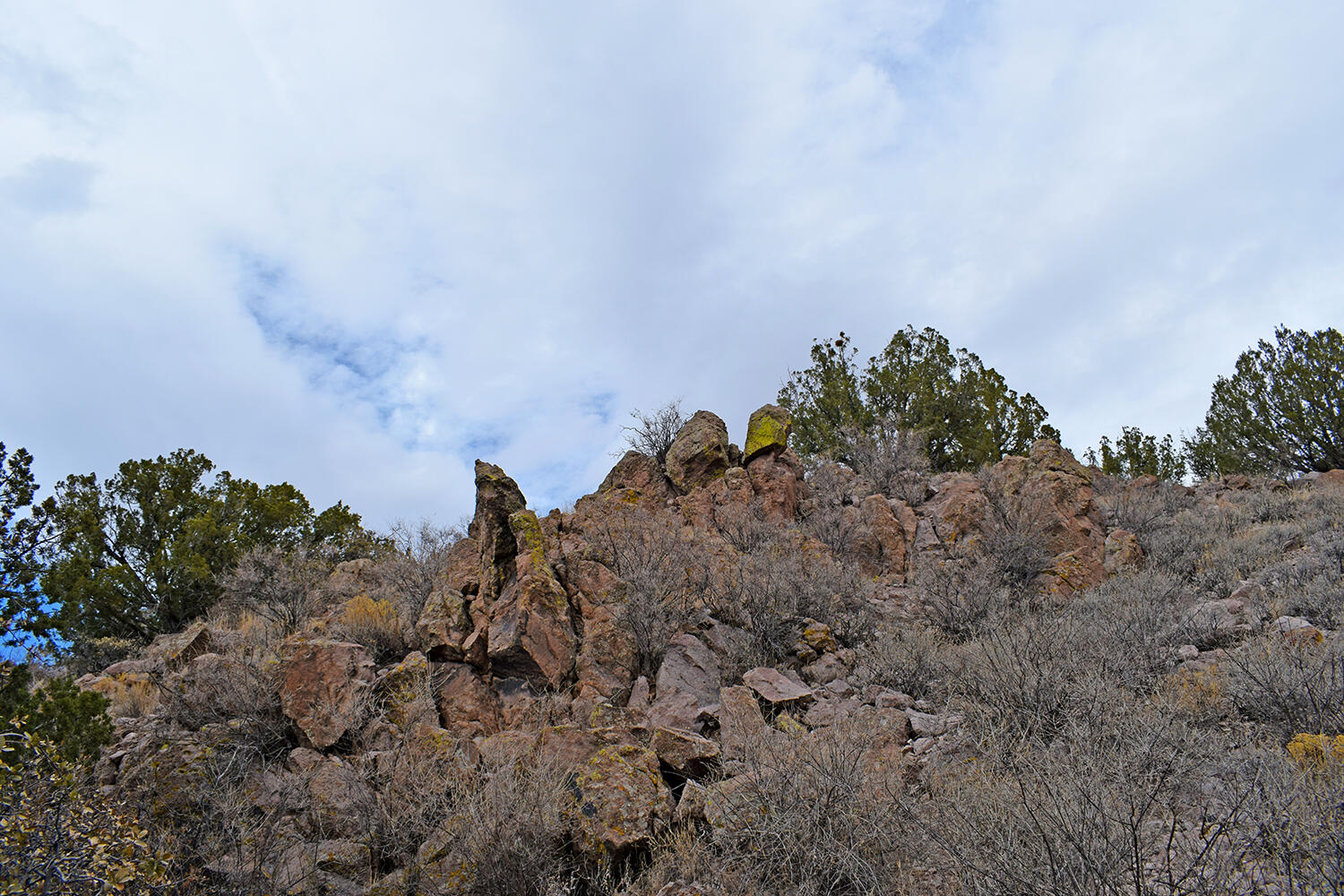 Lot 1A Willow Springs Ranch, San Antonio, New Mexico image 41