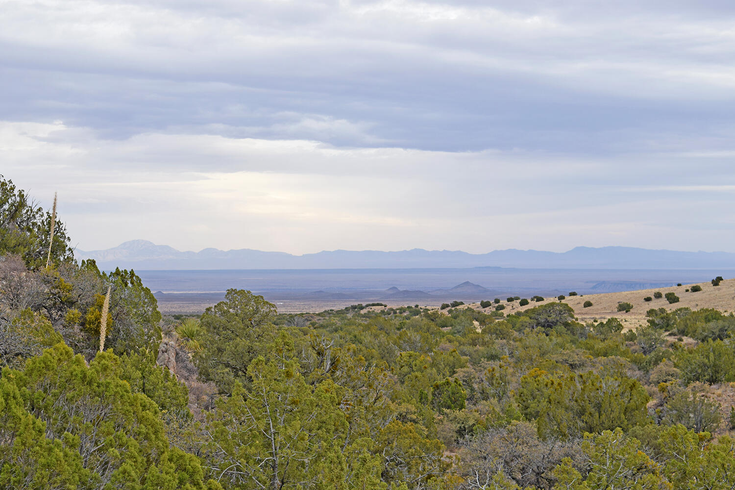 Lot 1A Willow Springs Ranch, San Antonio, New Mexico image 43