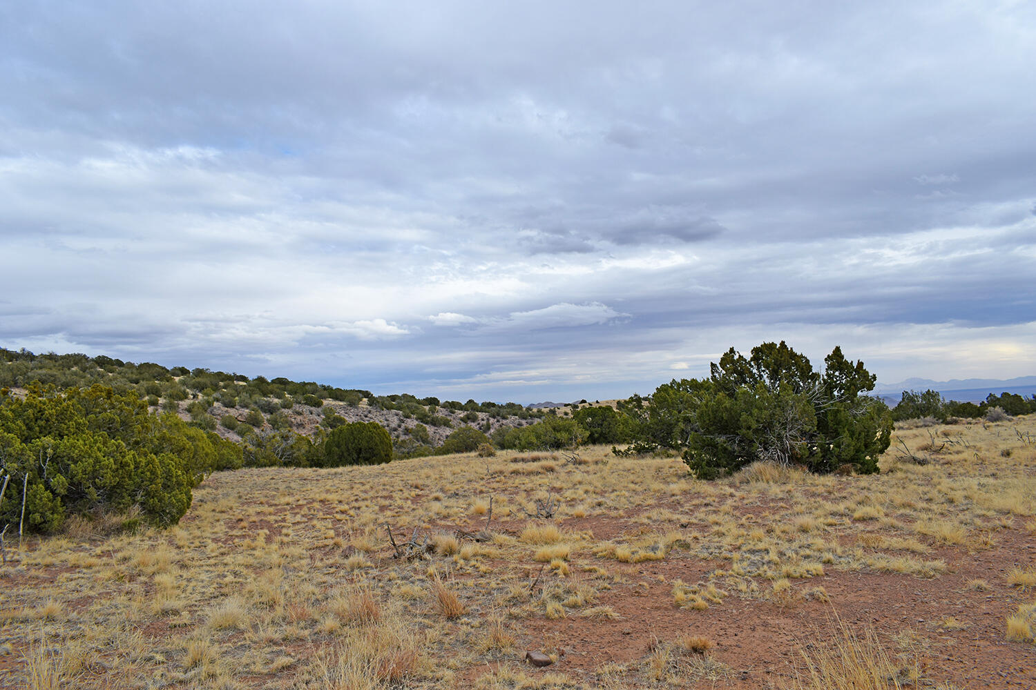 Lot 1A Willow Springs Ranch, San Antonio, New Mexico image 29