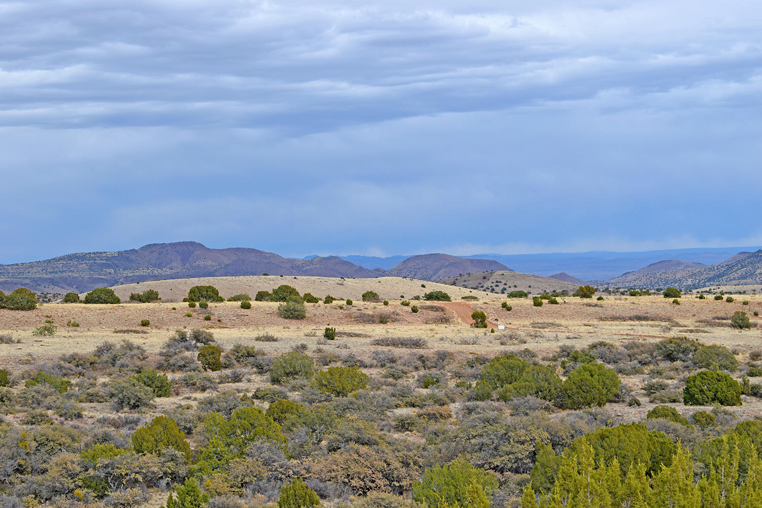 Lot 1A Willow Springs Ranch, San Antonio, New Mexico image 15