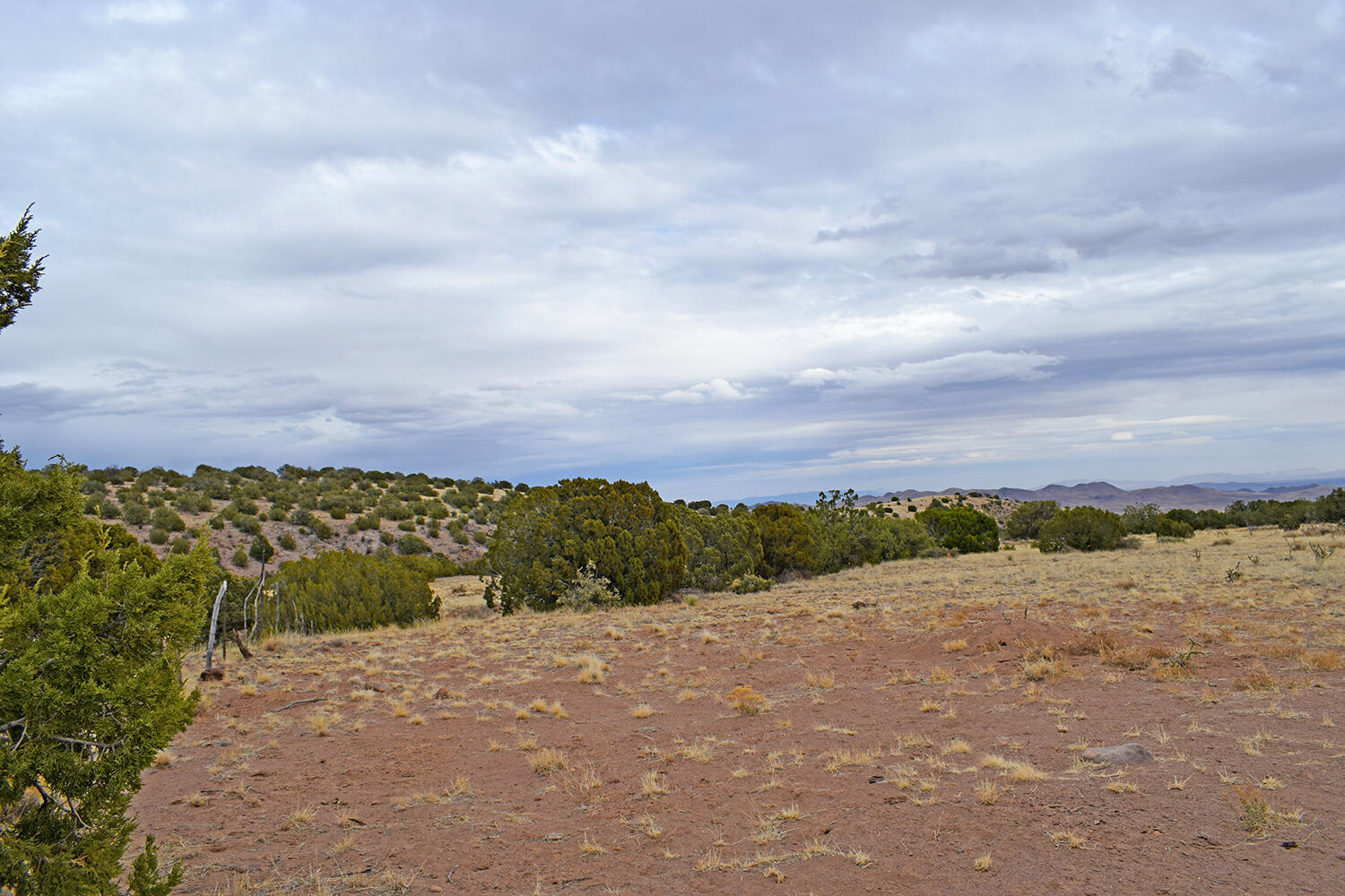 Lot 1A Willow Springs Ranch, San Antonio, New Mexico image 24