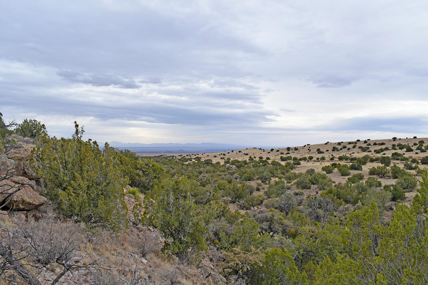 Lot 1A Willow Springs Ranch, San Antonio, New Mexico image 46