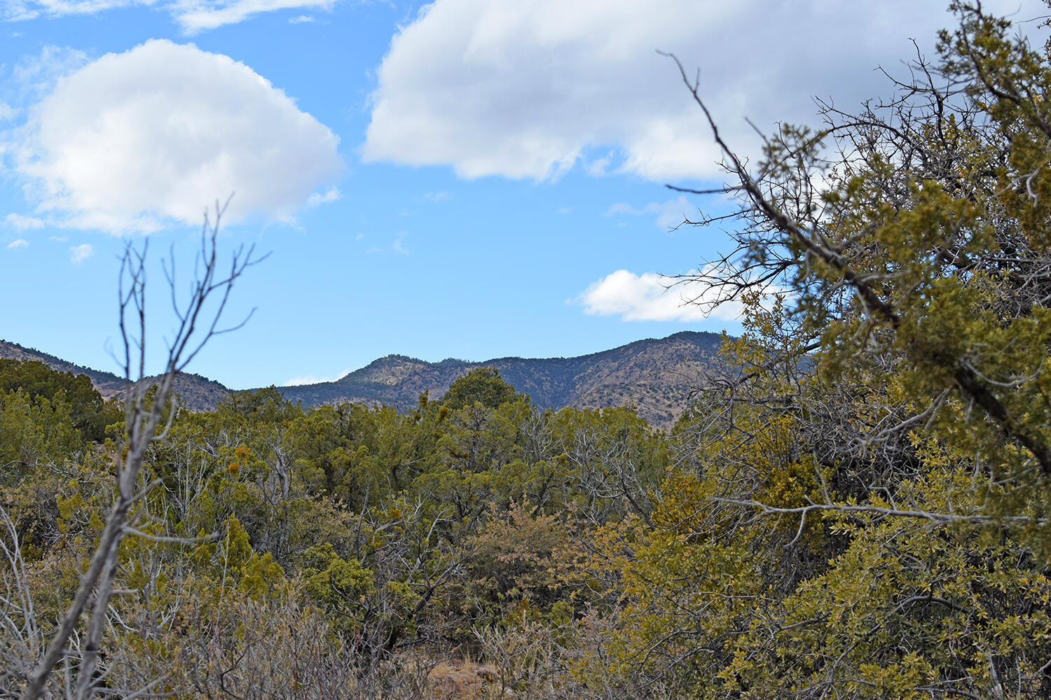 Lot 1A Willow Springs Ranch, San Antonio, New Mexico image 36