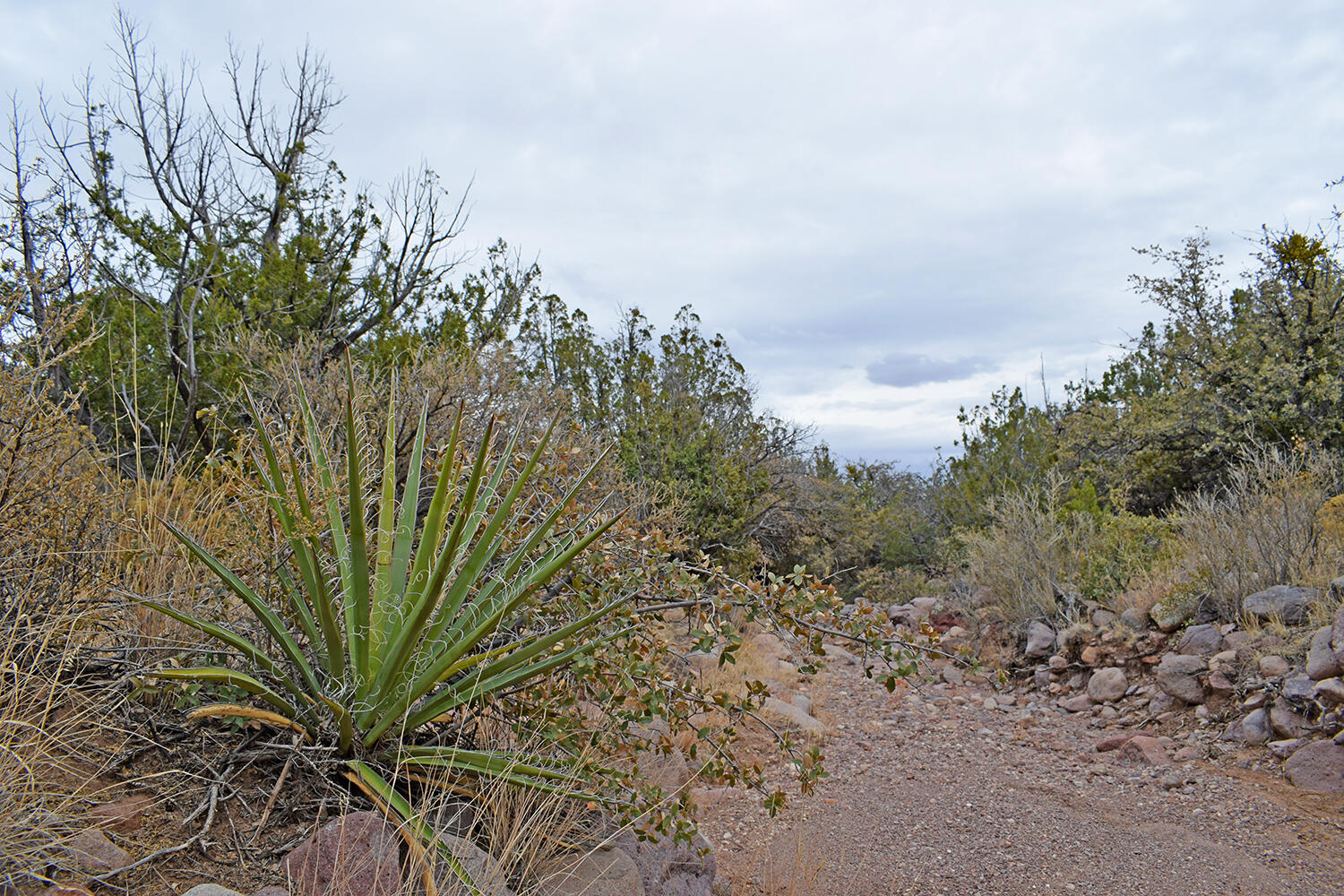 Lot 1A Willow Springs Ranch, San Antonio, New Mexico image 35