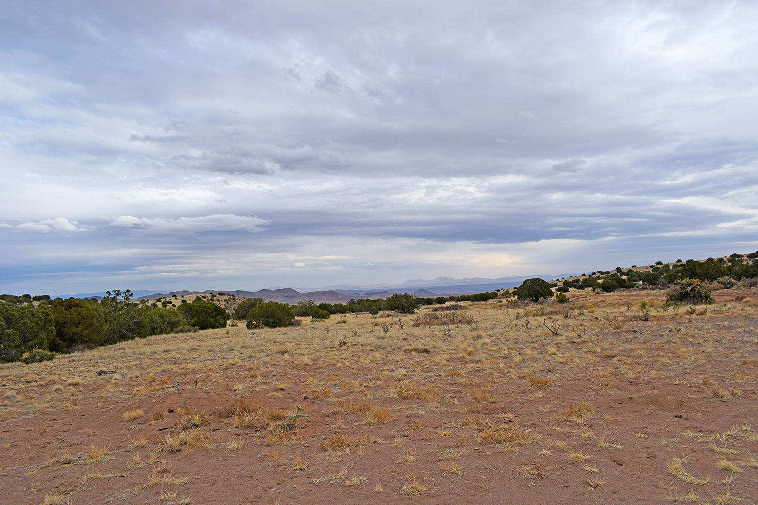 Lot 1A Willow Springs Ranch, San Antonio, New Mexico image 25