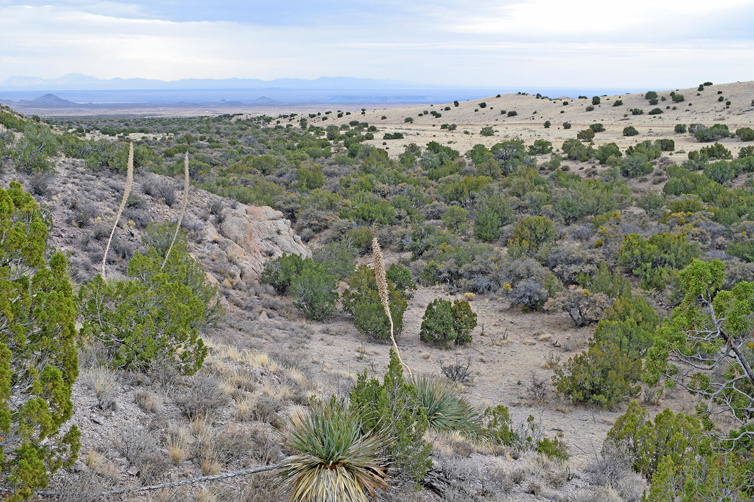 Lot 1A Willow Springs Ranch, San Antonio, New Mexico image 49