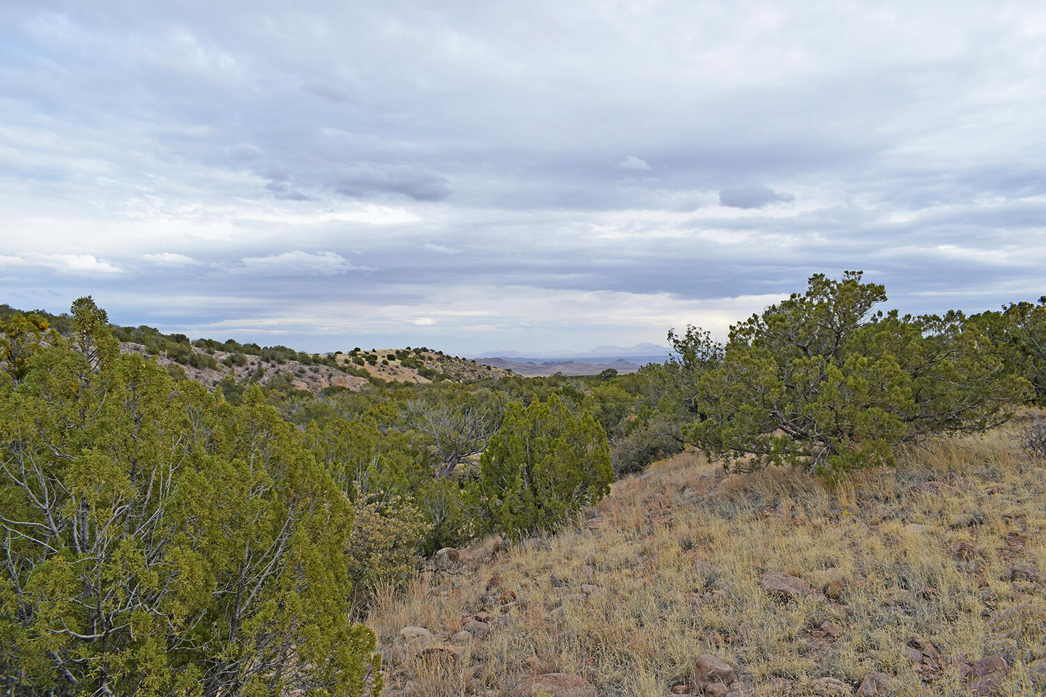 Lot 1A Willow Springs Ranch, San Antonio, New Mexico image 30