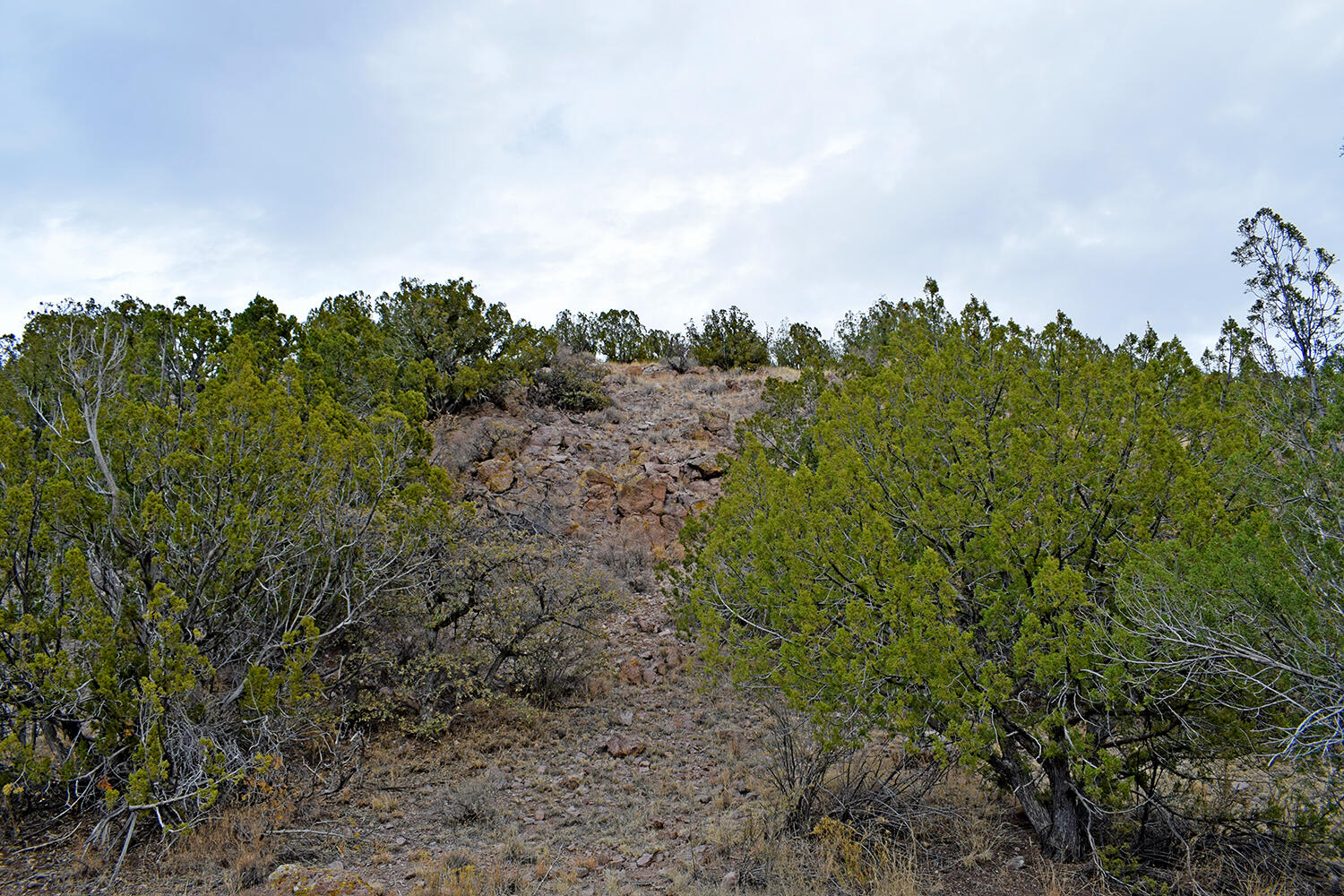 Lot 1A Willow Springs Ranch, San Antonio, New Mexico image 39