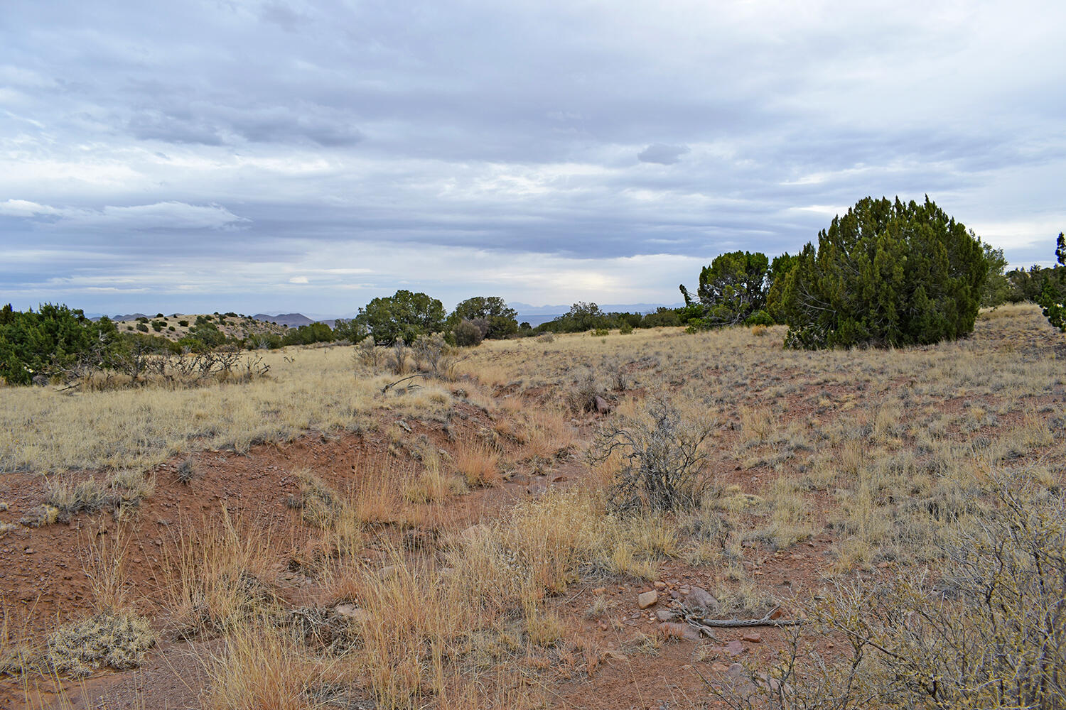 Lot 1A Willow Springs Ranch, San Antonio, New Mexico image 27