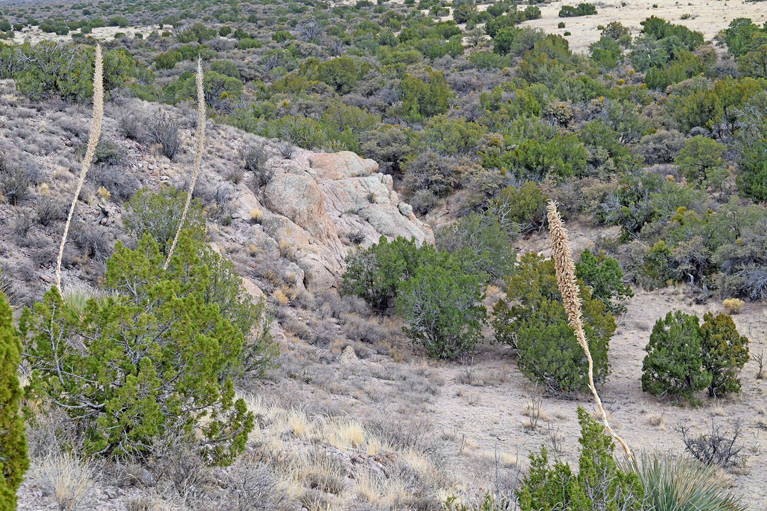 Lot 1A Willow Springs Ranch, San Antonio, New Mexico image 50