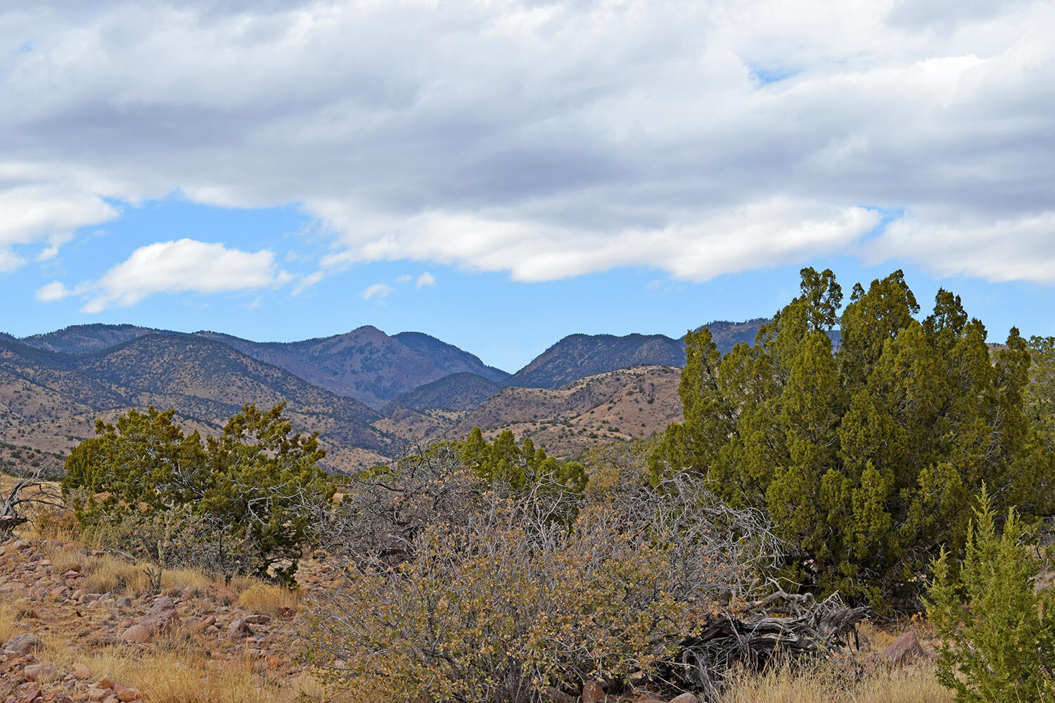 Lot 1A Willow Springs Ranch, San Antonio, New Mexico image 9