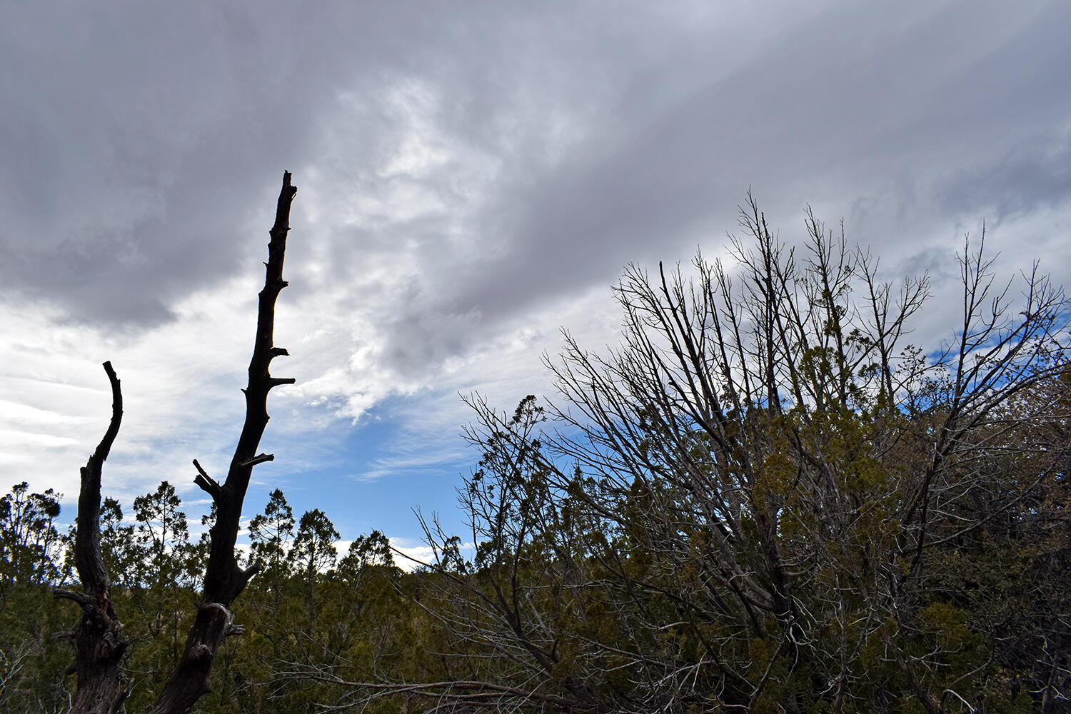 Lot 1A Willow Springs Ranch, San Antonio, New Mexico image 40
