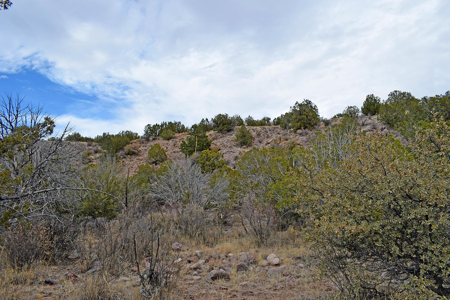 Lot 1A Willow Springs Ranch, San Antonio, New Mexico image 37
