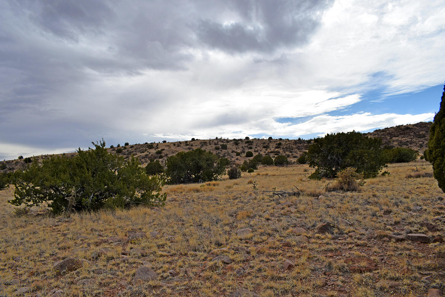 Lot 1A Willow Springs Ranch, San Antonio, New Mexico image 31