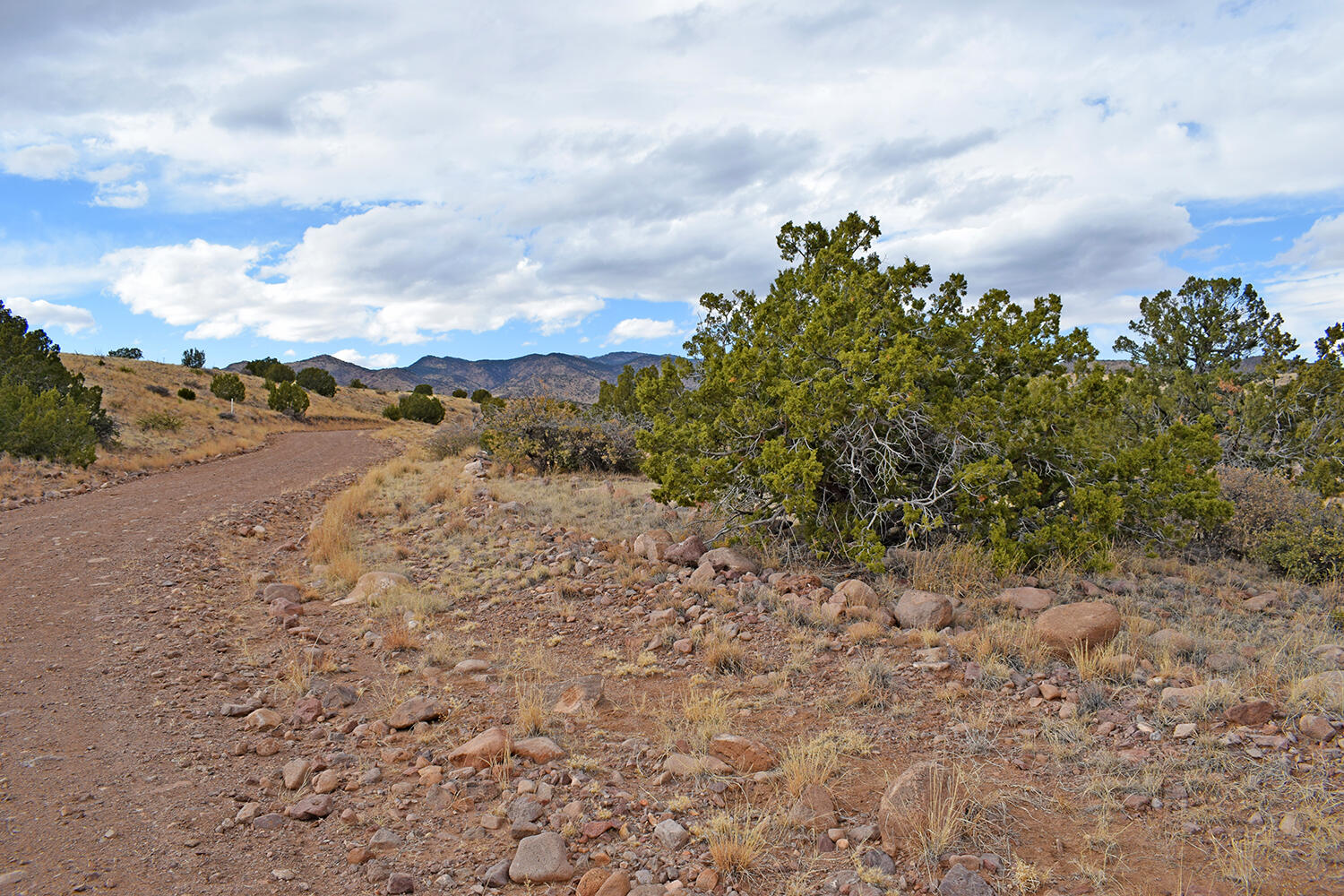 Lot 1A Willow Springs Ranch, San Antonio, New Mexico image 7