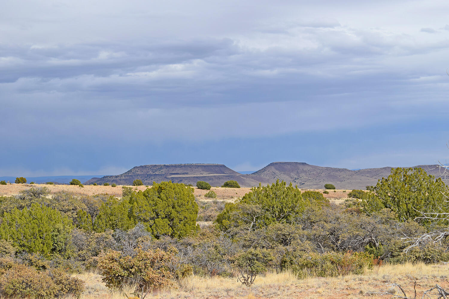 Lot 1A Willow Springs Ranch, San Antonio, New Mexico image 11