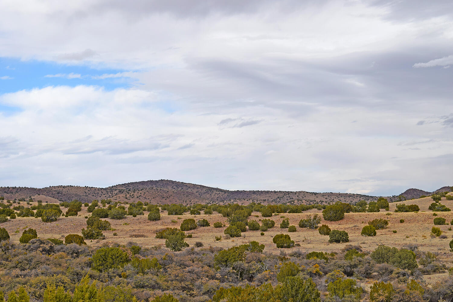 Lot 1A Willow Springs Ranch, San Antonio, New Mexico image 14