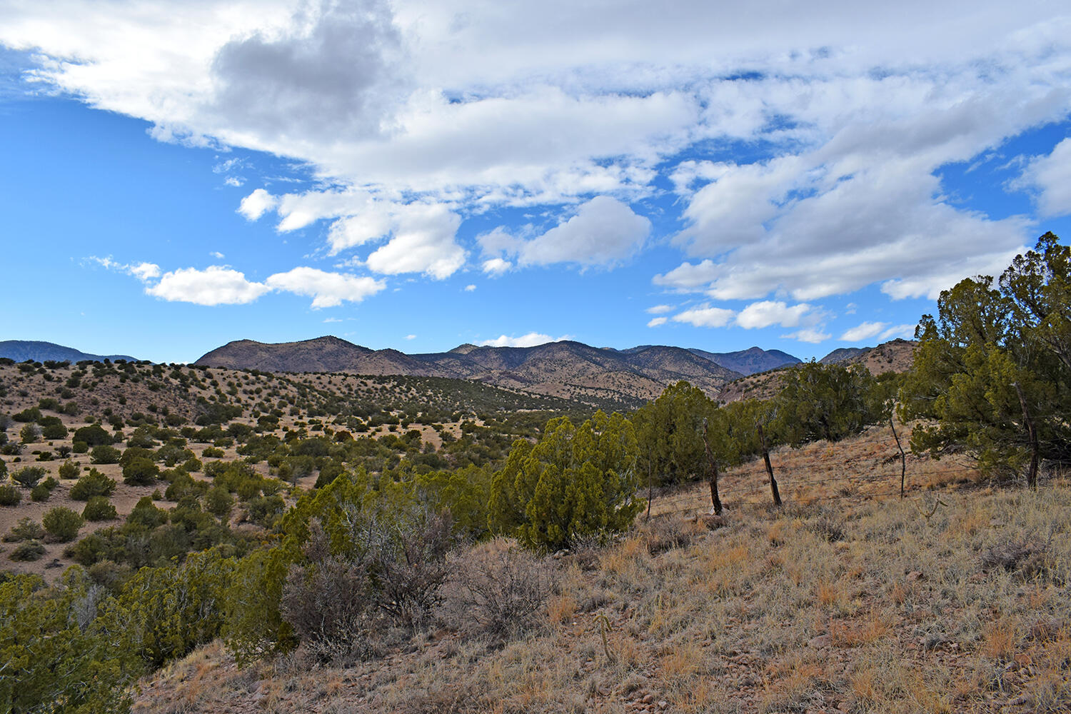 Lot 1A Willow Springs Ranch, San Antonio, New Mexico image 48