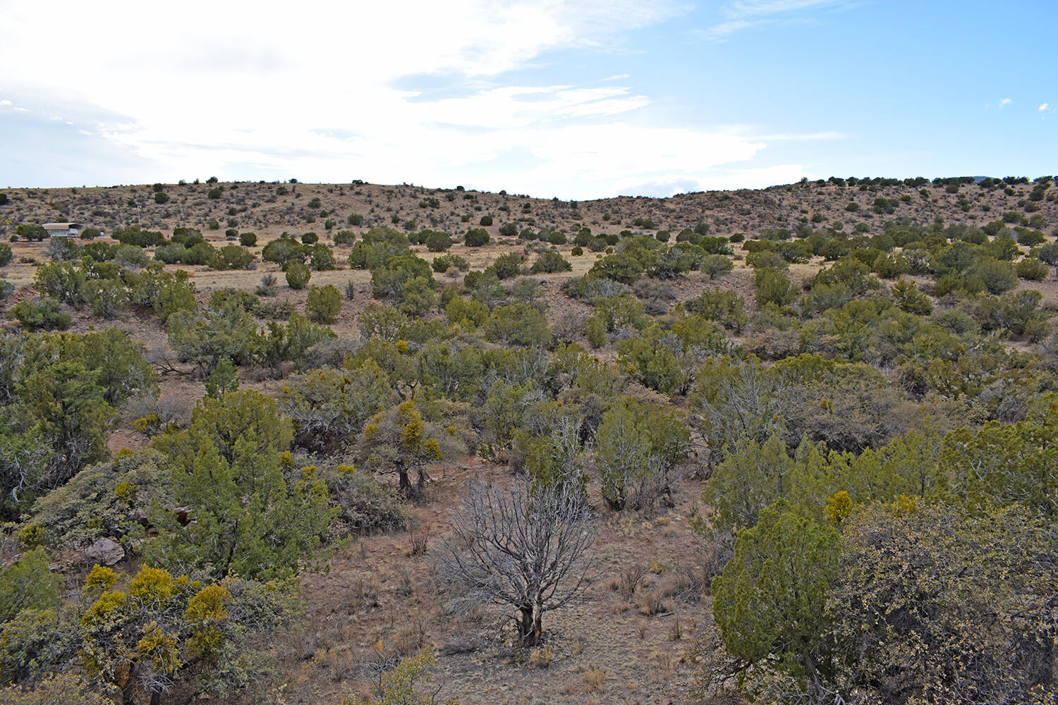 Lot 1A Willow Springs Ranch, San Antonio, New Mexico image 44