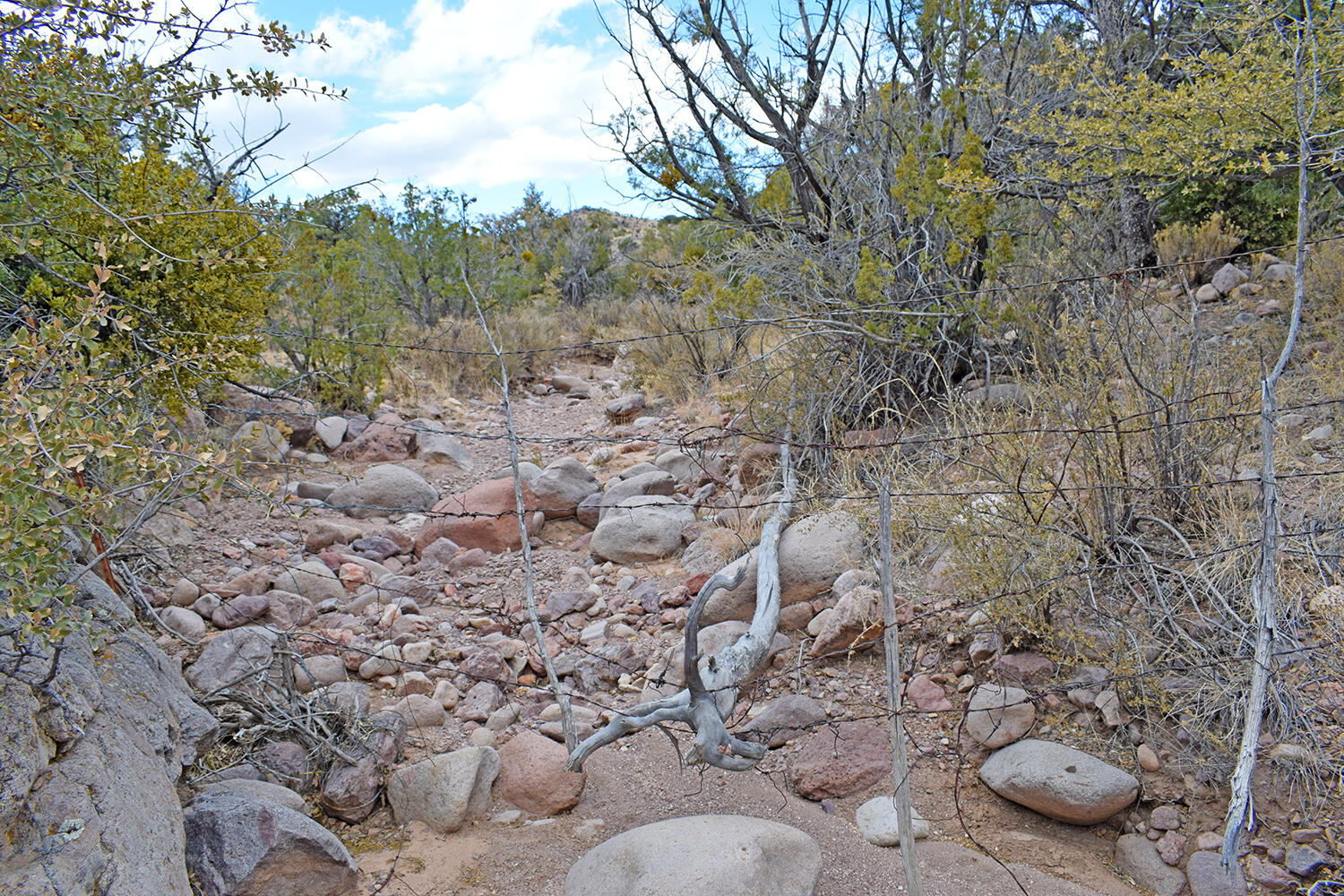 Lot 1A Willow Springs Ranch, San Antonio, New Mexico image 33