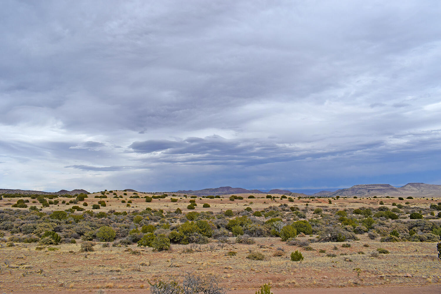 Lot 1A Willow Springs Ranch, San Antonio, New Mexico image 17