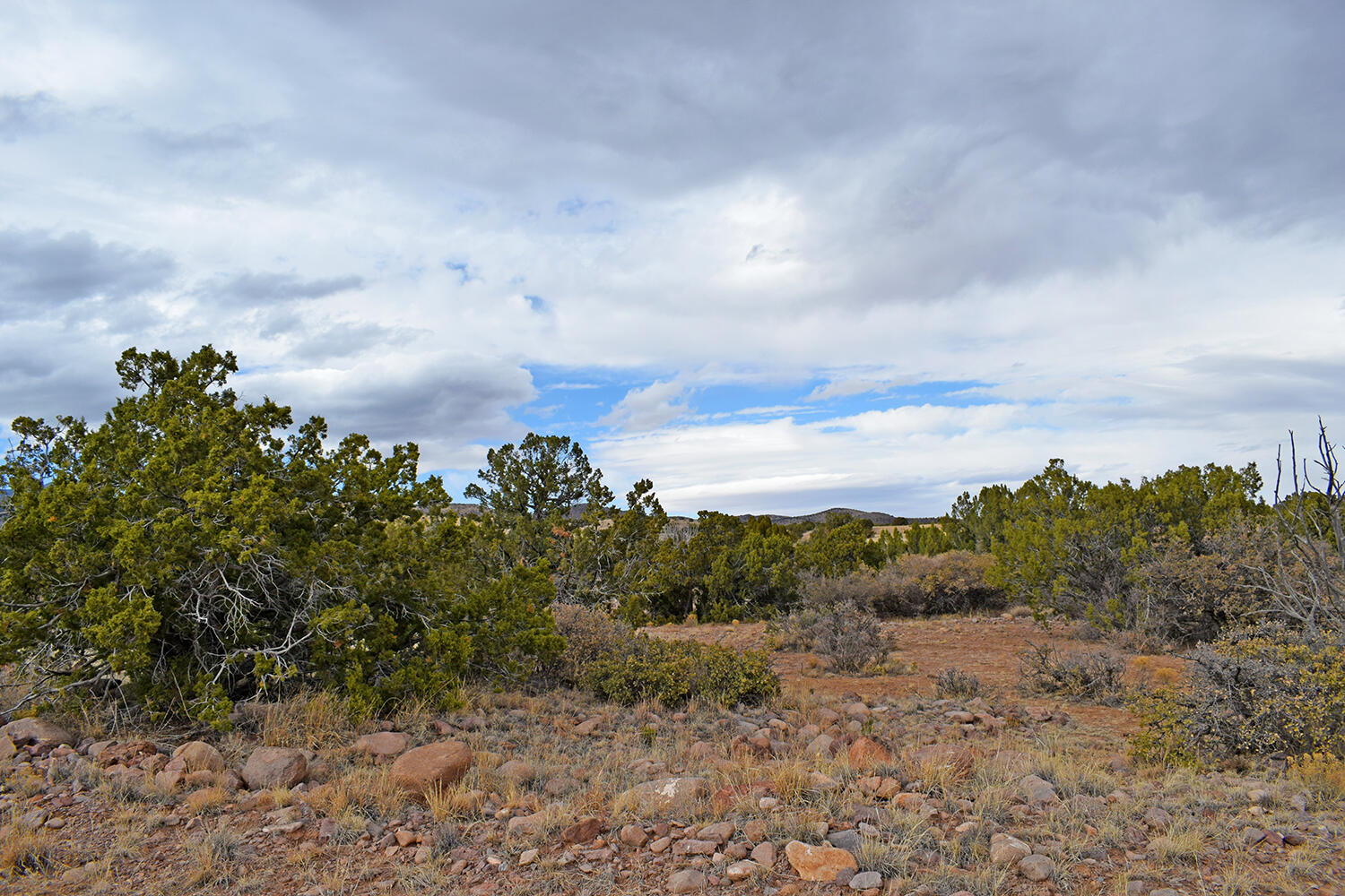 Lot 1A Willow Springs Ranch, San Antonio, New Mexico image 8