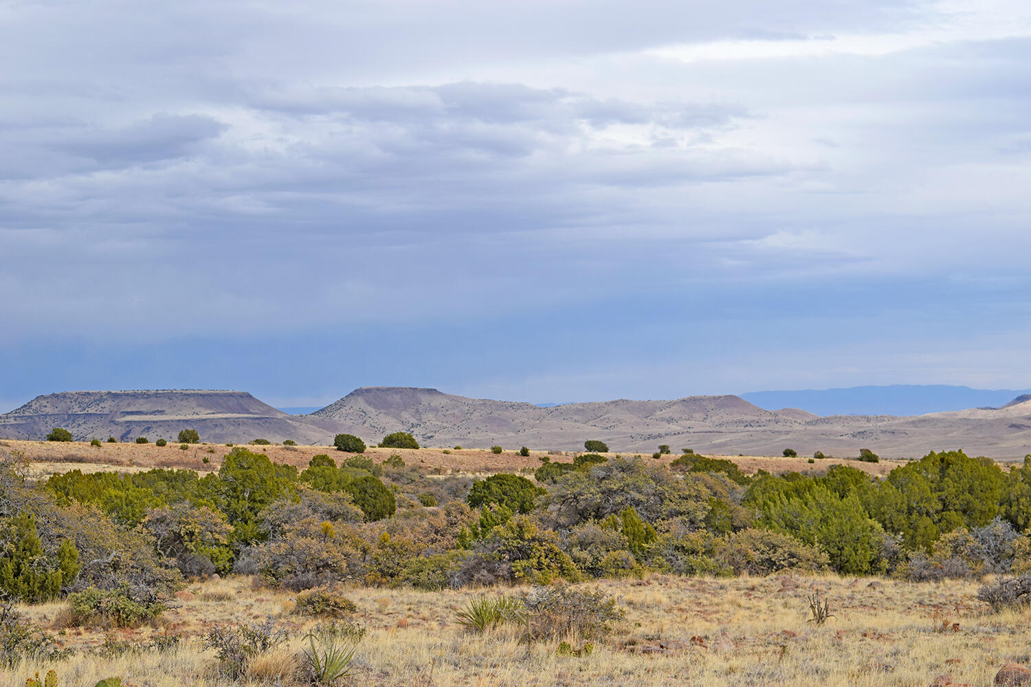 Lot 1A Willow Springs Ranch, San Antonio, New Mexico image 21