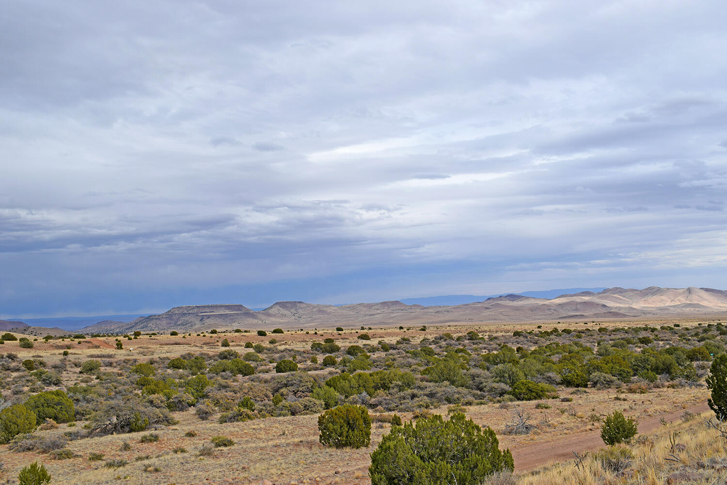 Lot 1A Willow Springs Ranch, San Antonio, New Mexico image 19