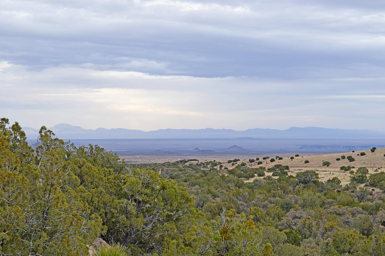 Lot 1A Willow Springs Ranch, San Antonio, New Mexico image 47