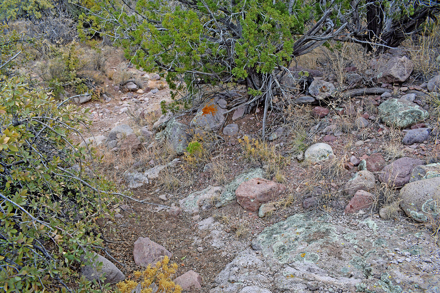 Lot 1A Willow Springs Ranch, San Antonio, New Mexico image 32
