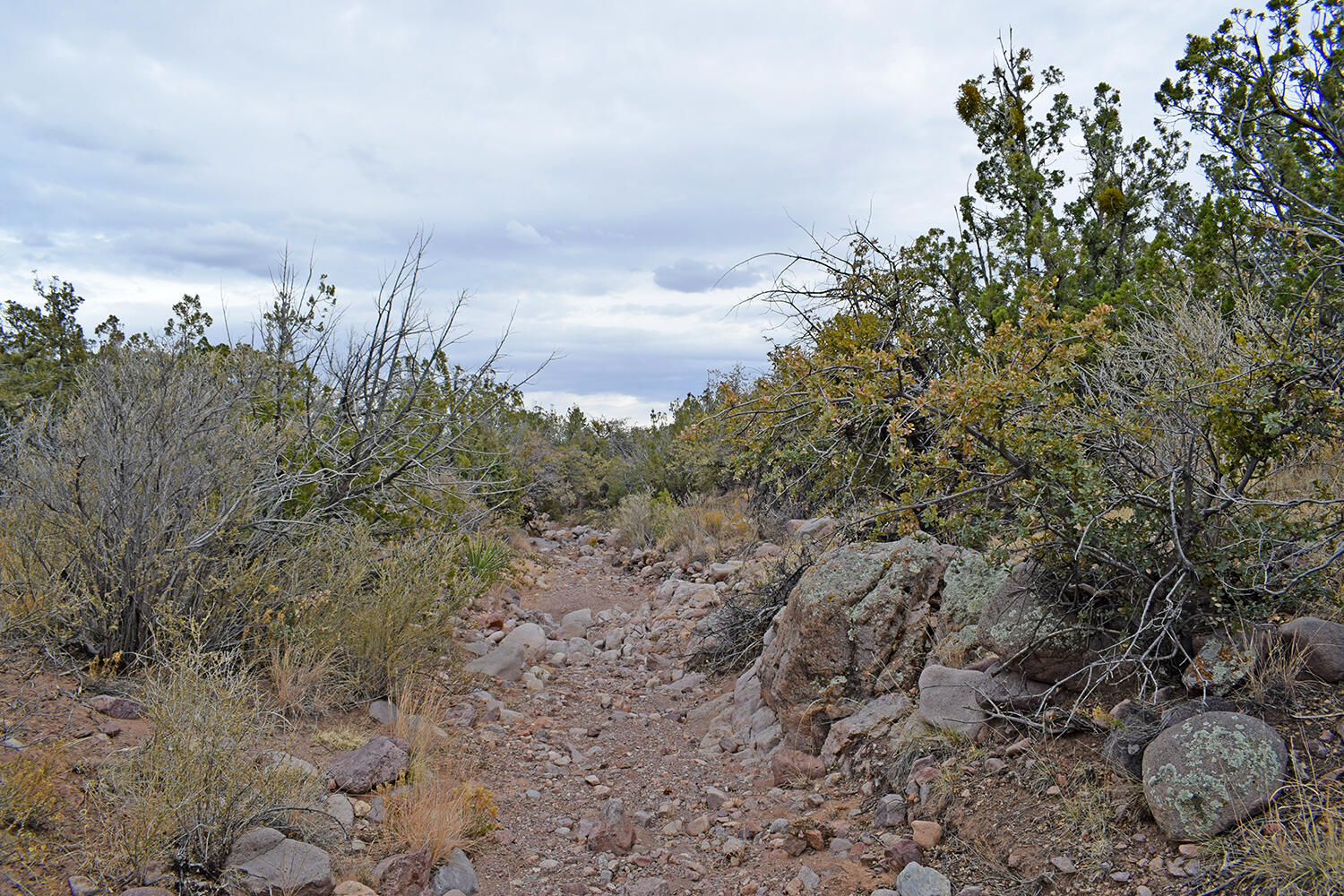 Lot 1A Willow Springs Ranch, San Antonio, New Mexico image 34