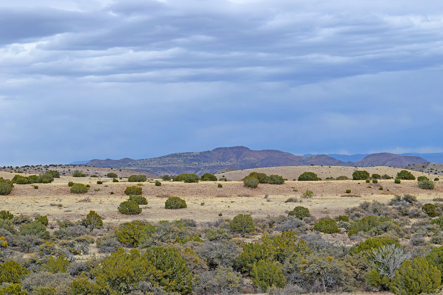 Lot 1A Willow Springs Ranch, San Antonio, New Mexico image 16