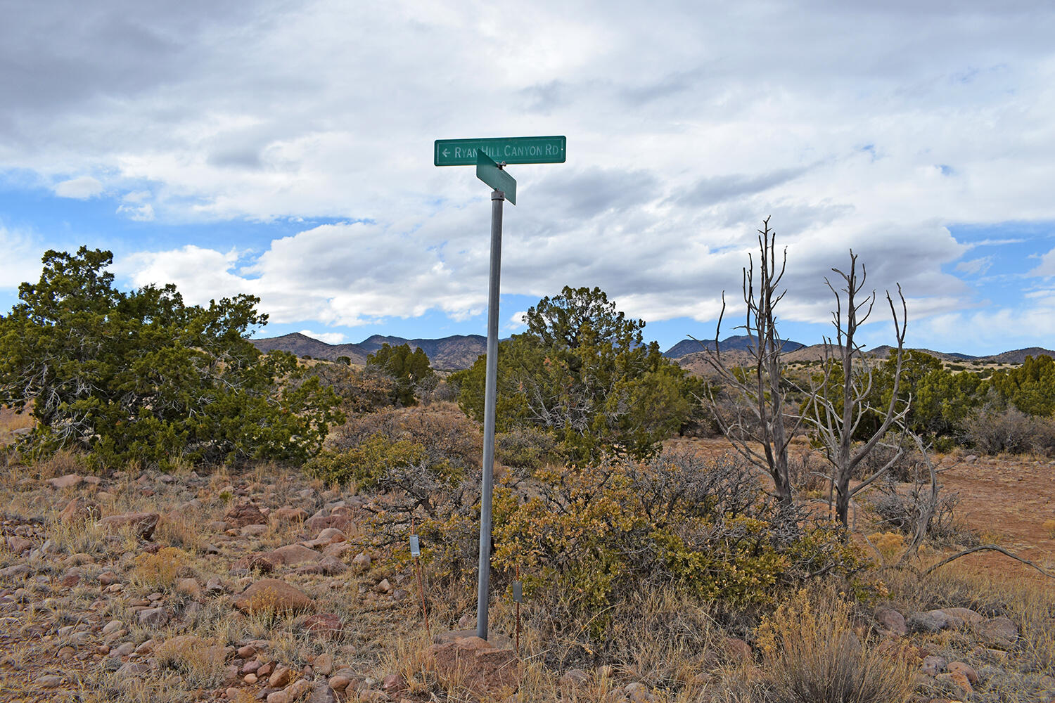Lot 1A Willow Springs Ranch, San Antonio, New Mexico image 1