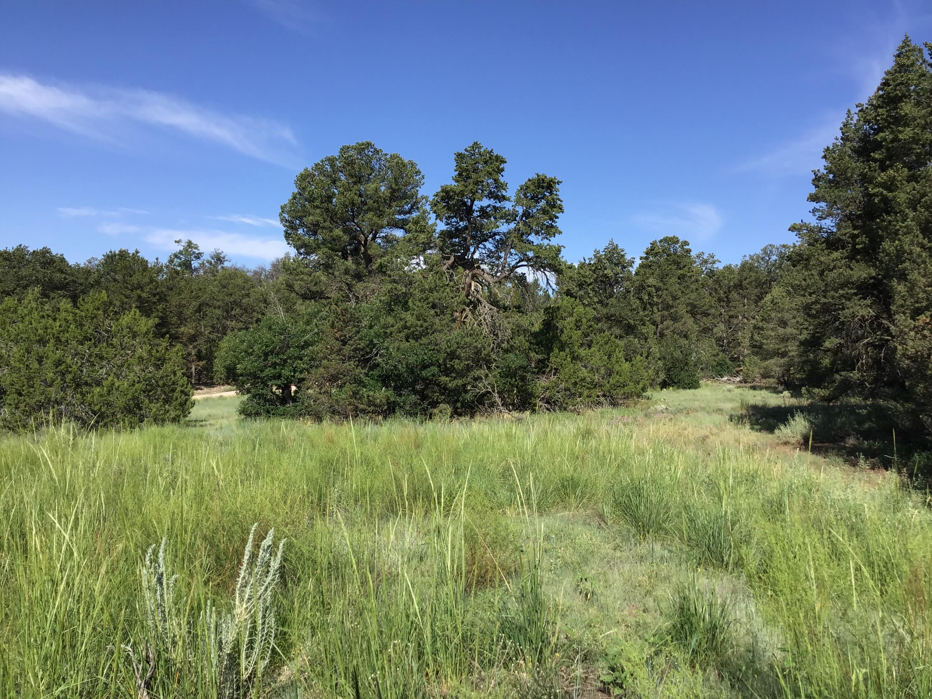 Lots 15-16 Woodland Drive, Ramah, New Mexico image 16