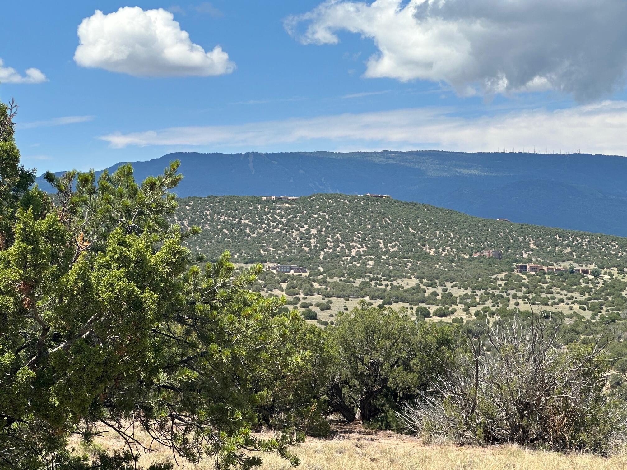 1 Gold Mine Trail, Sandia Park, New Mexico image 9