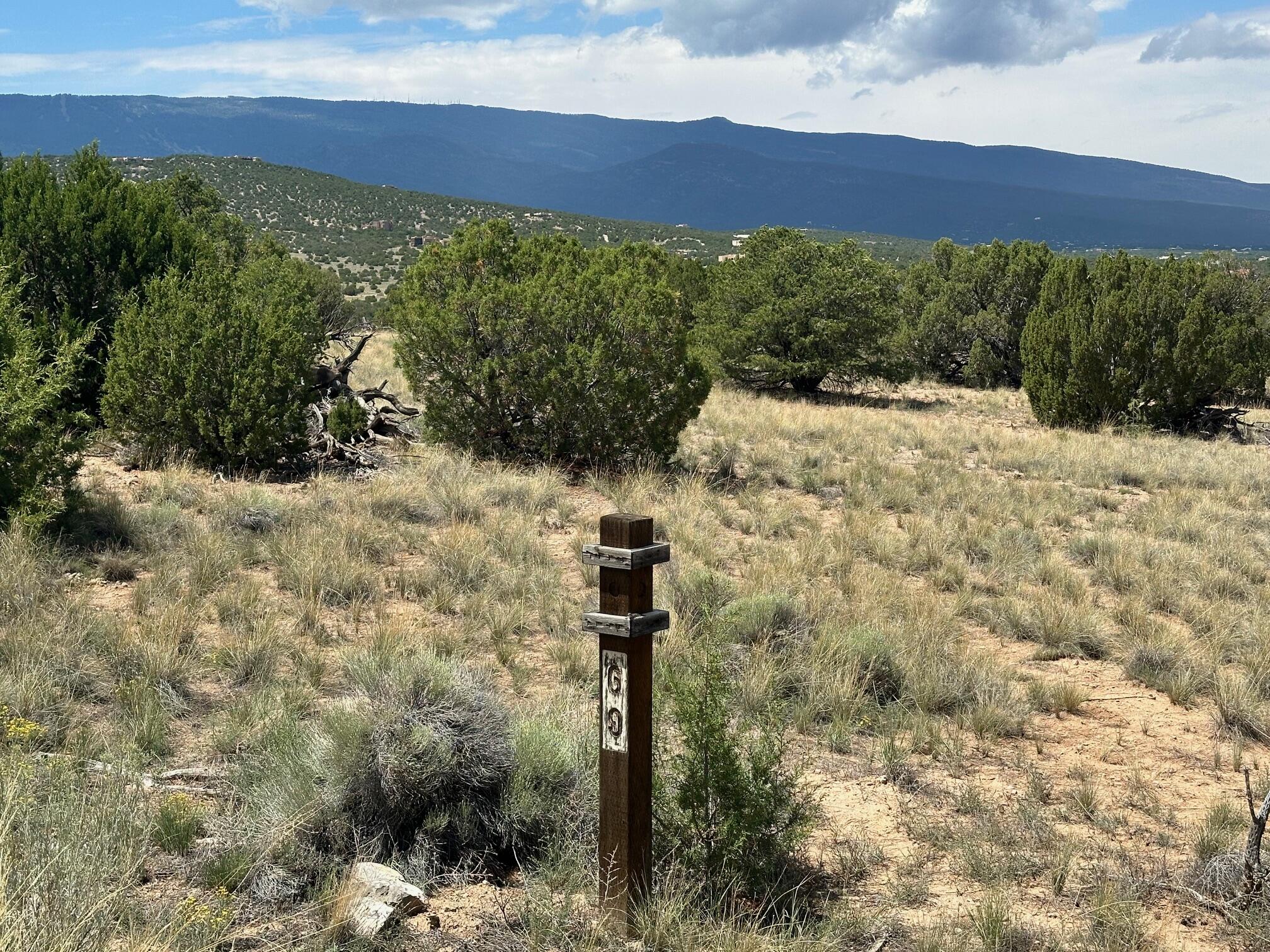 1 Gold Mine Trail, Sandia Park, New Mexico image 3