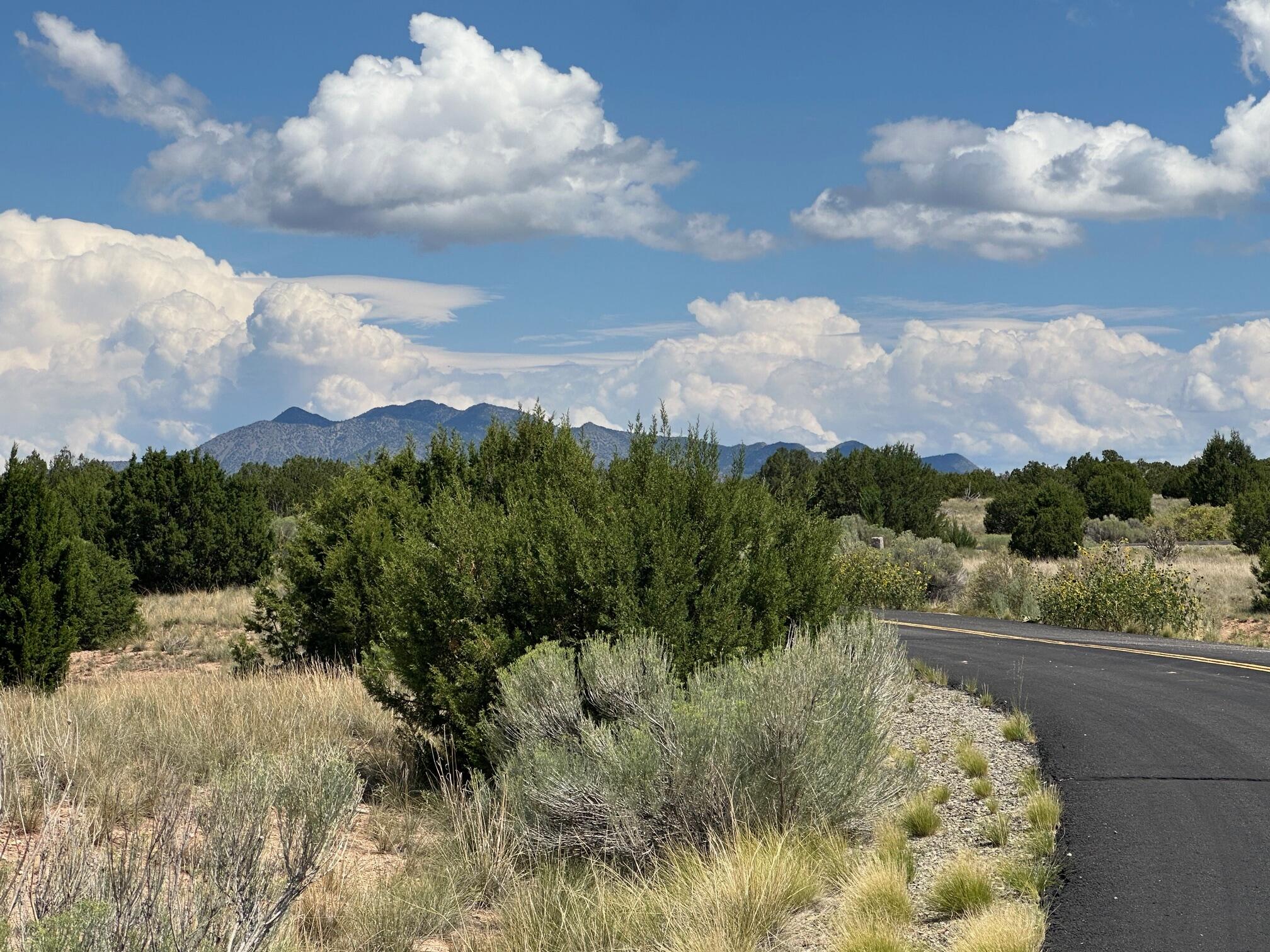 1 Gold Mine Trail, Sandia Park, New Mexico image 29