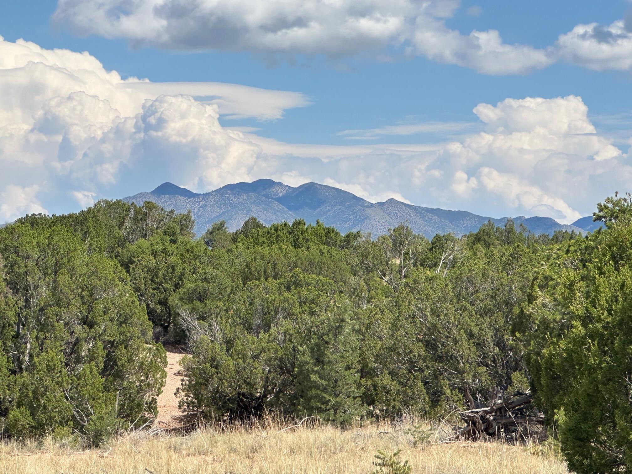 1 Gold Mine Trail, Sandia Park, New Mexico image 5