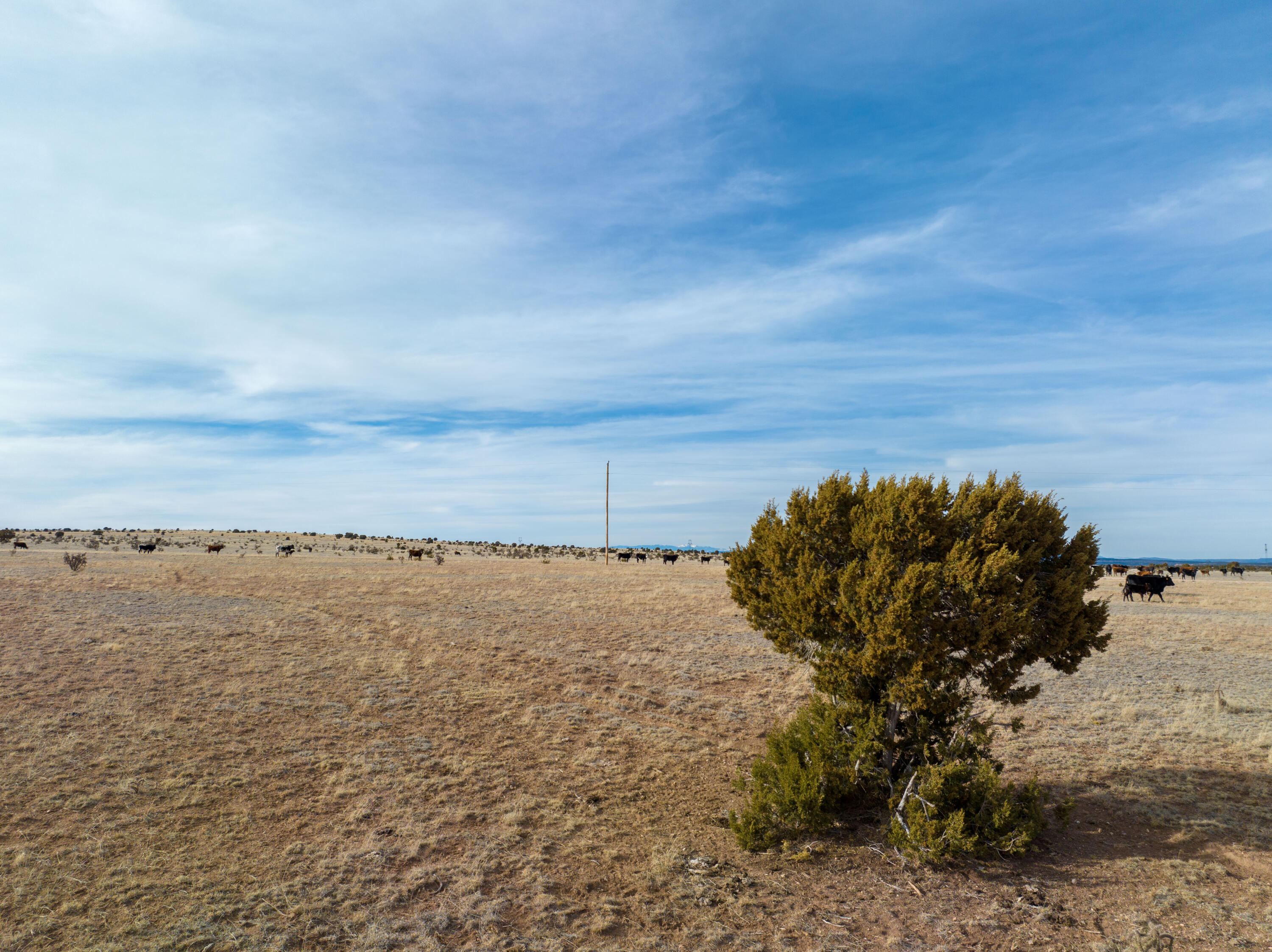 Portrillo Creek Ranch Tract 12, Santa Rosa, New Mexico image 6