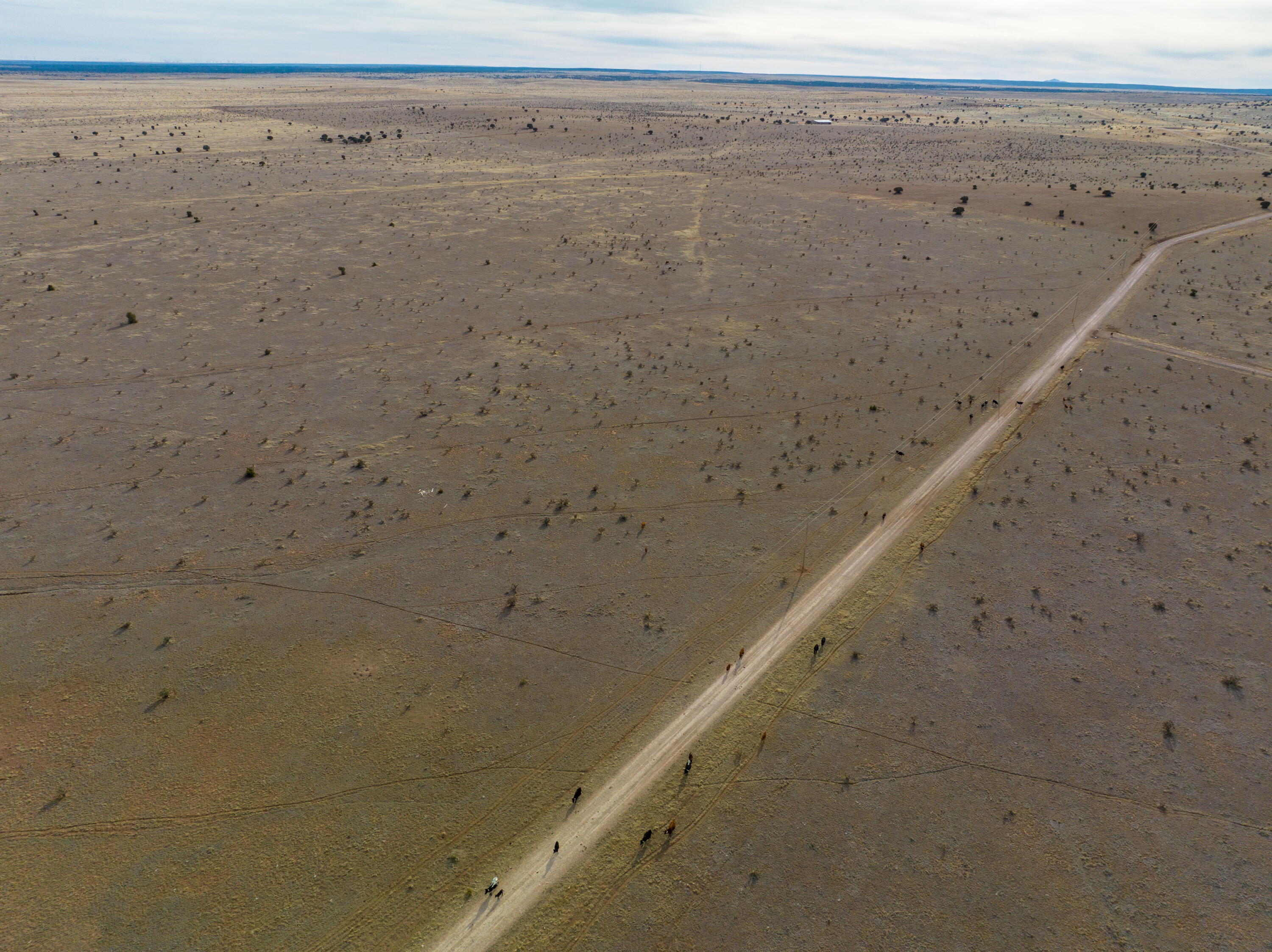 Portrillo Creek Ranch Tract 12, Santa Rosa, New Mexico image 4